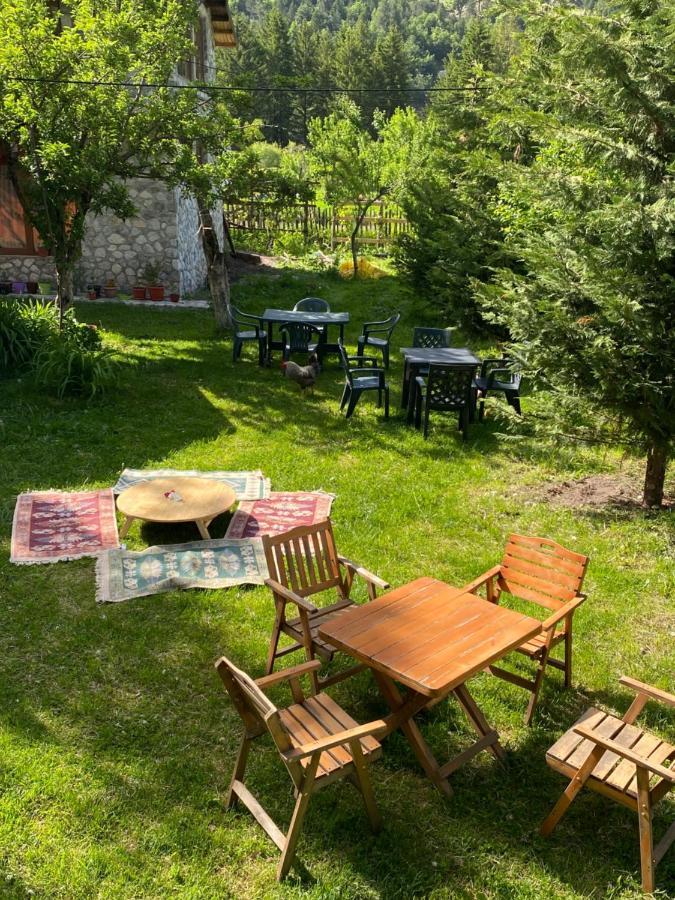 Guesthouse Demushi Valbone Buitenkant foto