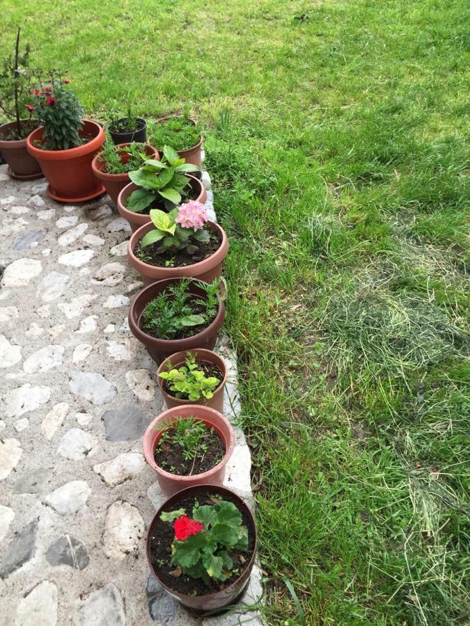 Guesthouse Demushi Valbone Buitenkant foto